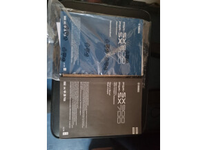 Yamaha PSR-SX900 (12381)