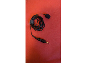 PXL 20241208 135014216.MP