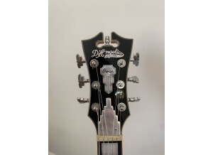 D'angelico Premier Brighton (81424)