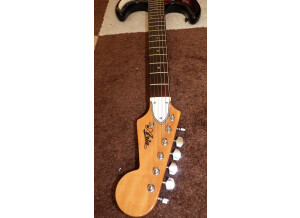 Aria Guitars 1802T