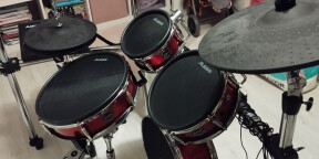 Vends batterie alesis