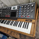 MiniMoog Voyager XL MiniMoog Voyager XL