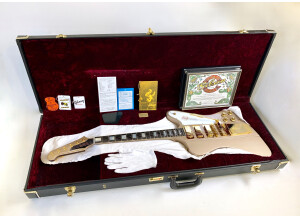 Gibson 20th Anniversary 1965 Firebird VII Reissue (53541)