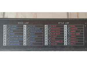 Yamaha PSS-100 (6586)