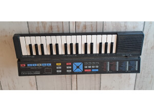 Yamaha PSS-100 (73365)
