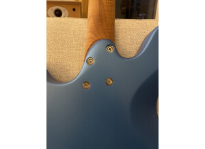 Walko Guitars Fabriquée en stage (26482)