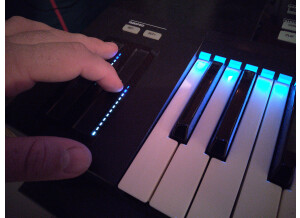 Native Instruments Komplete Kontrol S49 (76285)