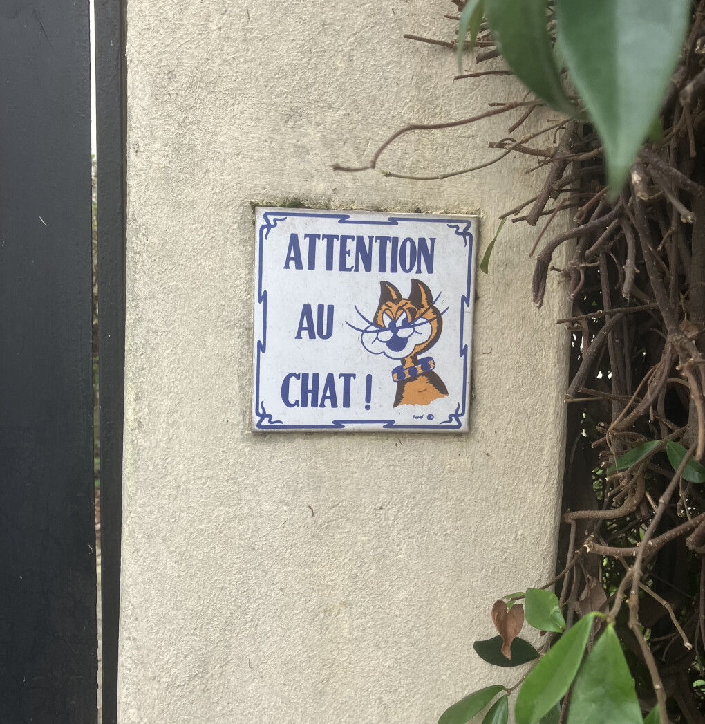 6315955.jpeg 6315955.jpeg