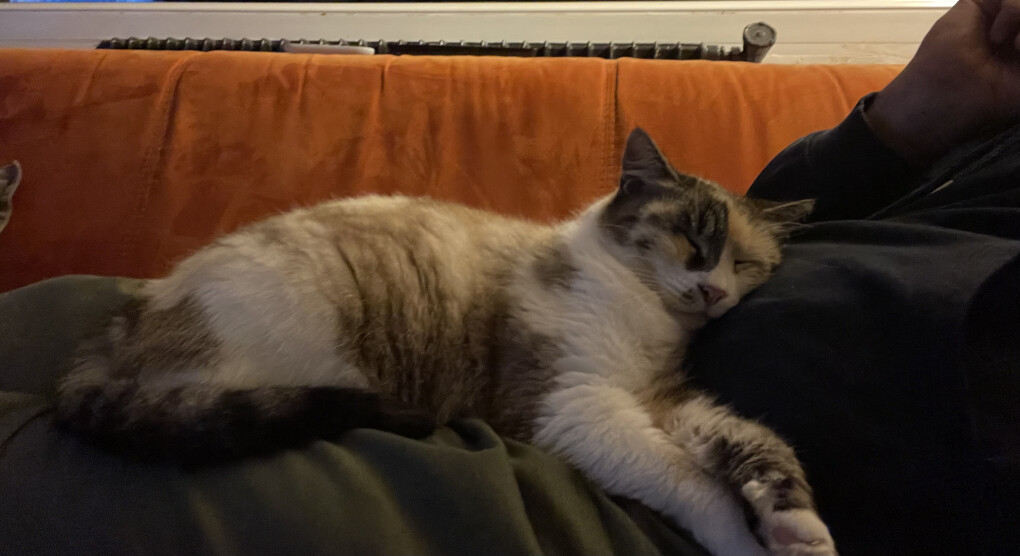 6316320.jpeg 6316320.jpeg