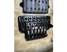 Ibanez JIVA10 Nita Strauss Signature (65085)
