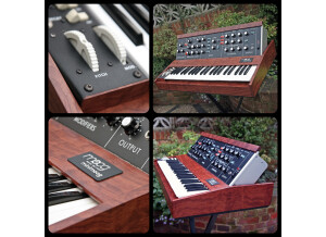 Moog Music MiniMoog (55996)