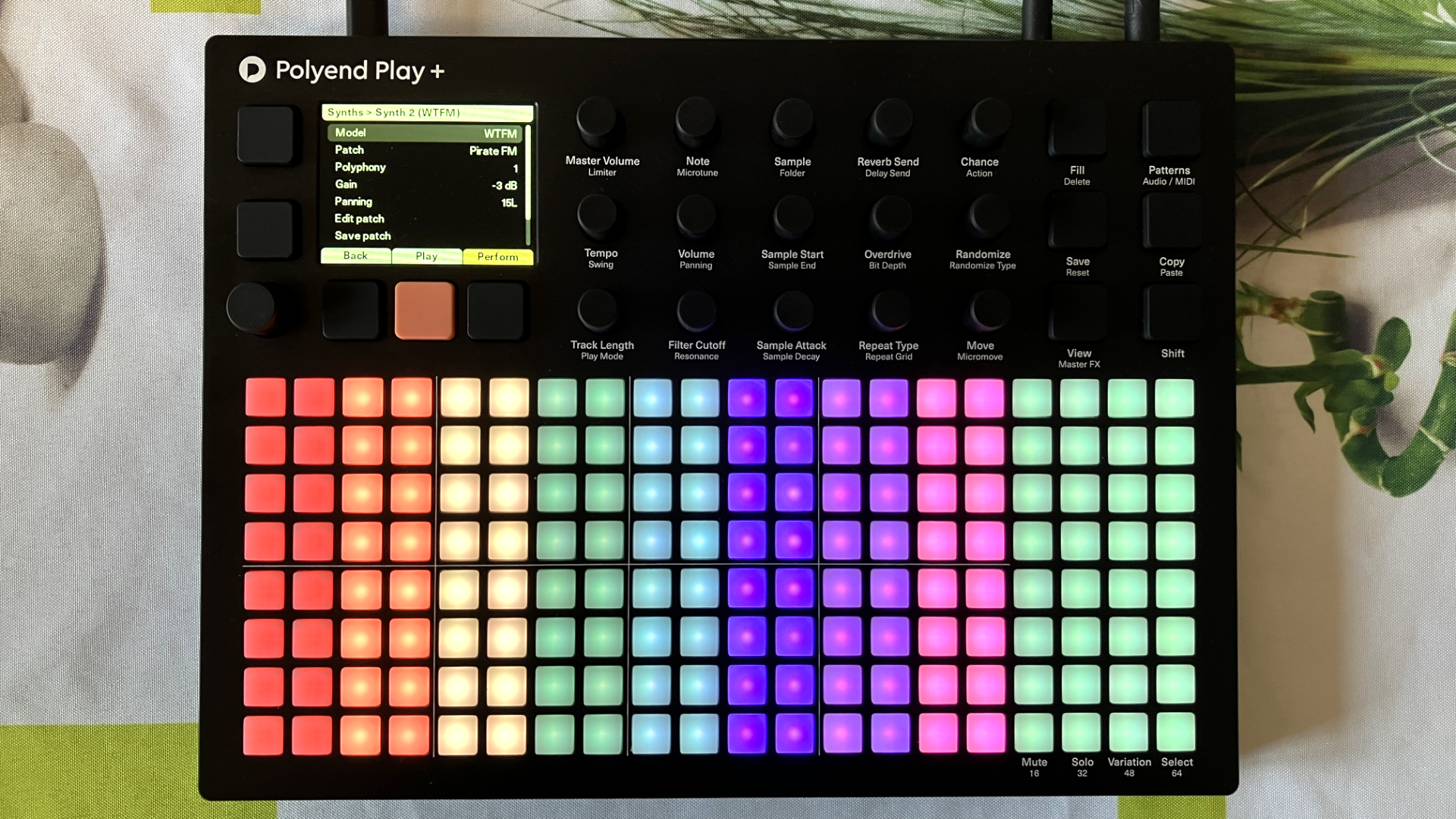 PlayPlus-WTFMPerformer