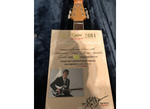 Burns Guitars Hank Marvin Signature (20590)