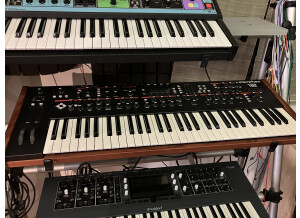 Dave Smith Instruments Prophet 12 (44058)