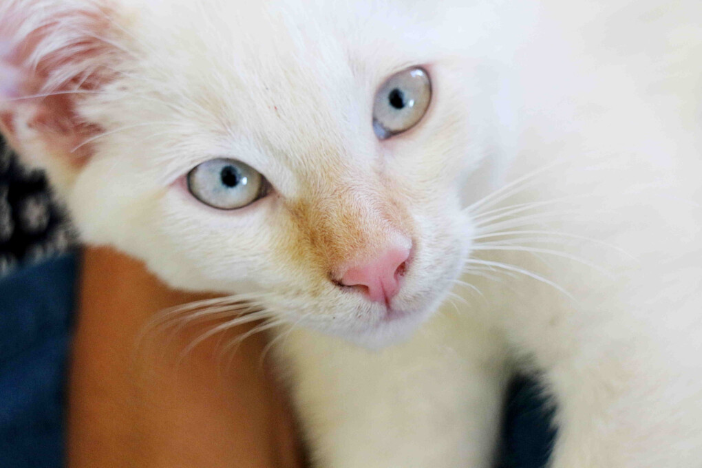 6319465.jpg 6319465.jpg