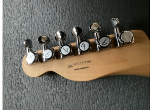 Fender Player Plus Telecaster (49540)