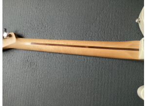 Fender Player Plus Telecaster (66831)
