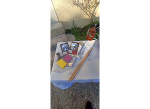 IMG 20241201 153220