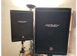 Peavey EuroSys 3 (30338)