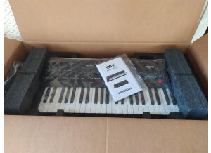 Dave Smith Instruments OB-6 (95637)