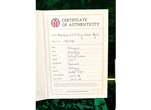 Maybach Albatroz 65 (49814)