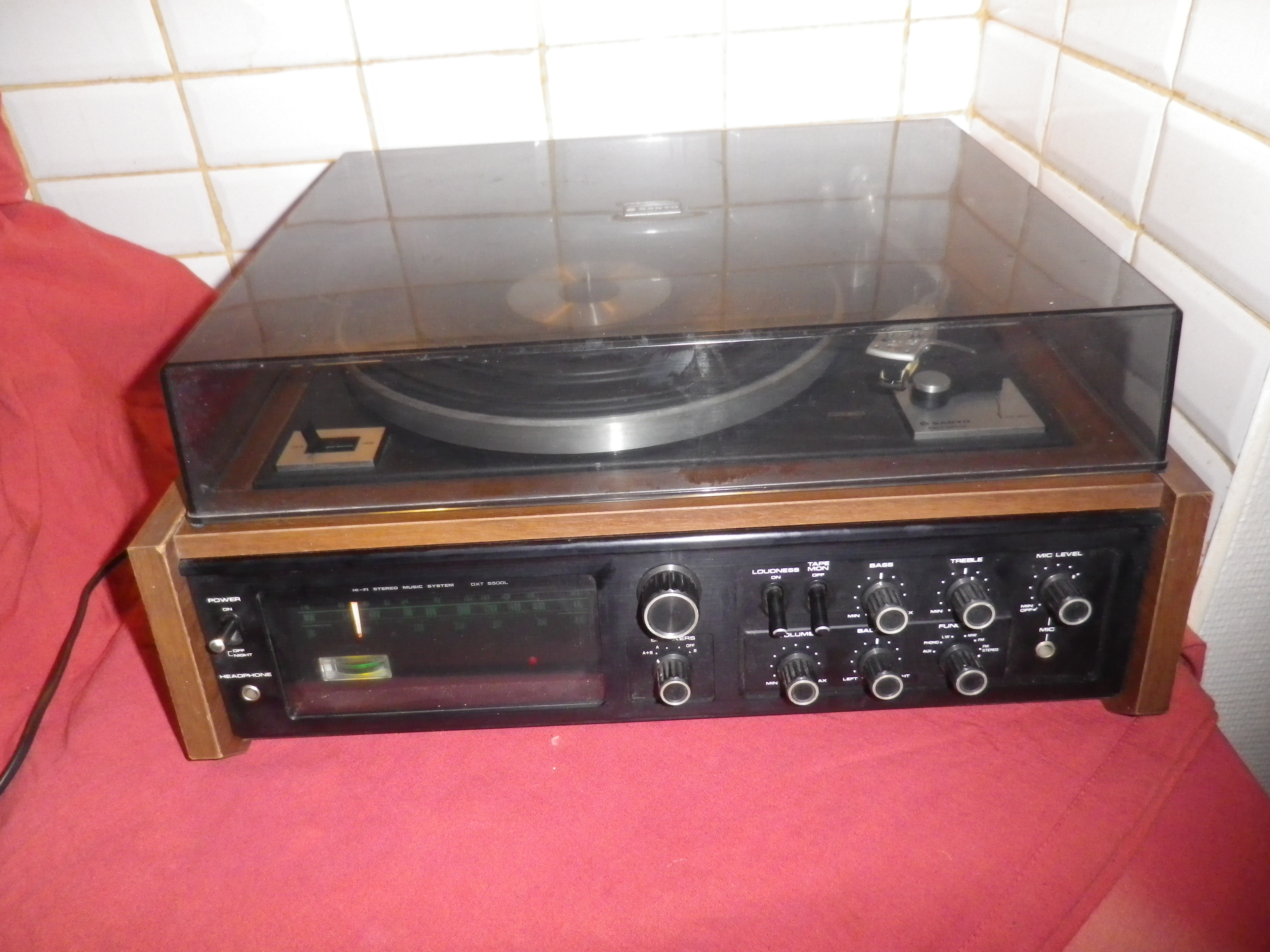 saniydXT5500 (11)