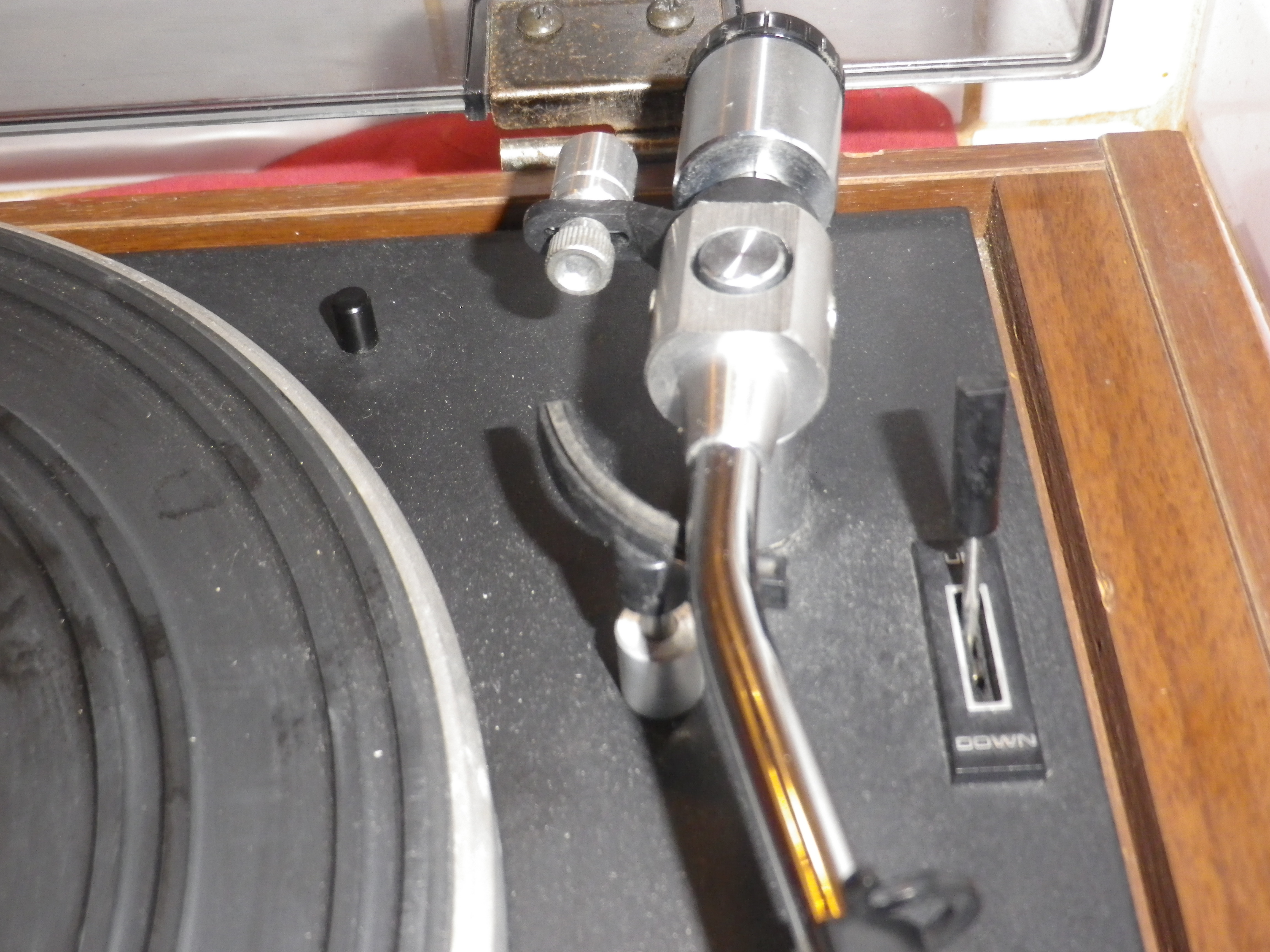 saniydXT5500 (5)
