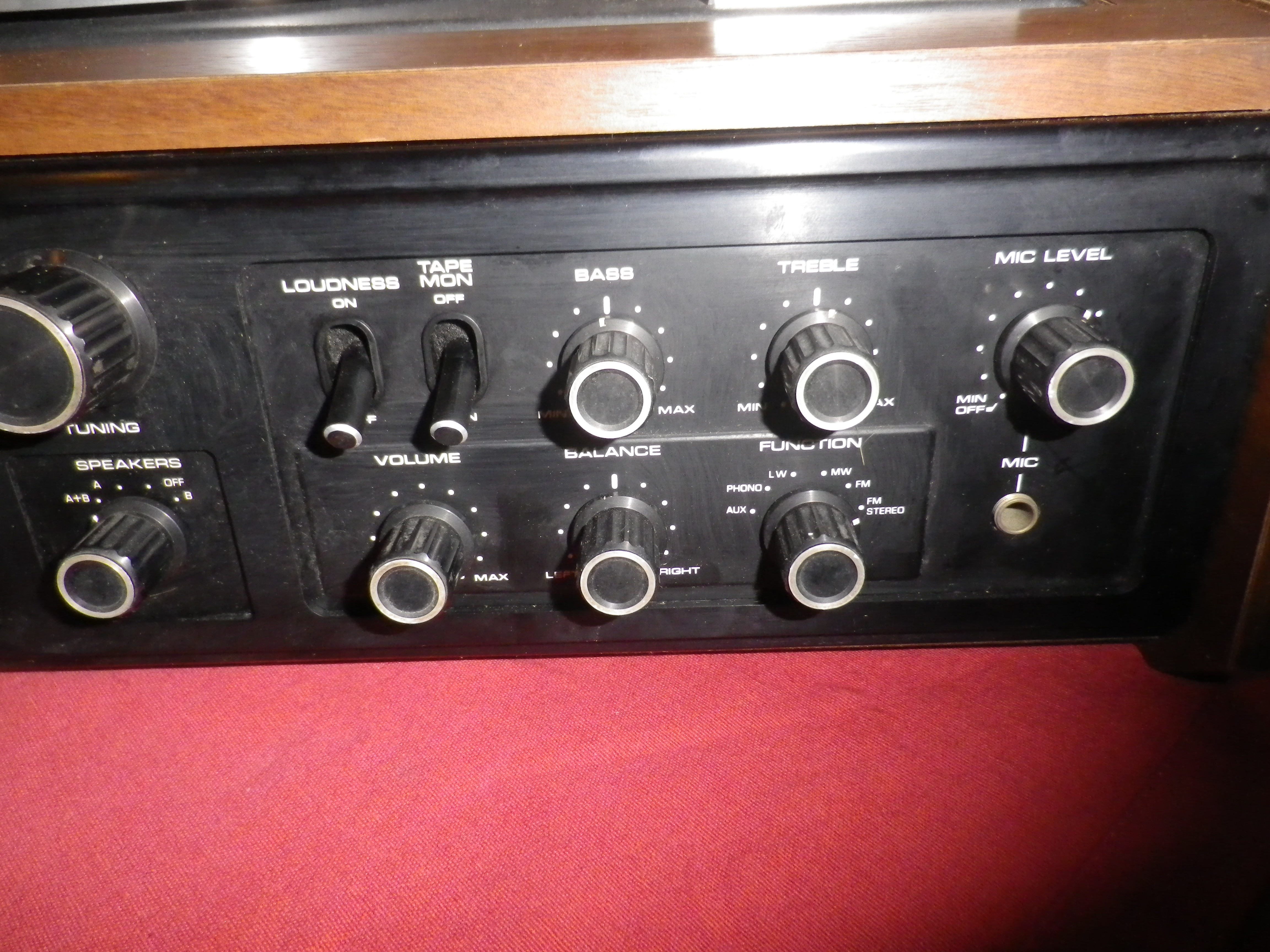 saniydXT5500 (7)