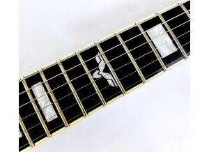 Epiphone Limited Edition Richie Faulkner Flying-V Custom (12230)