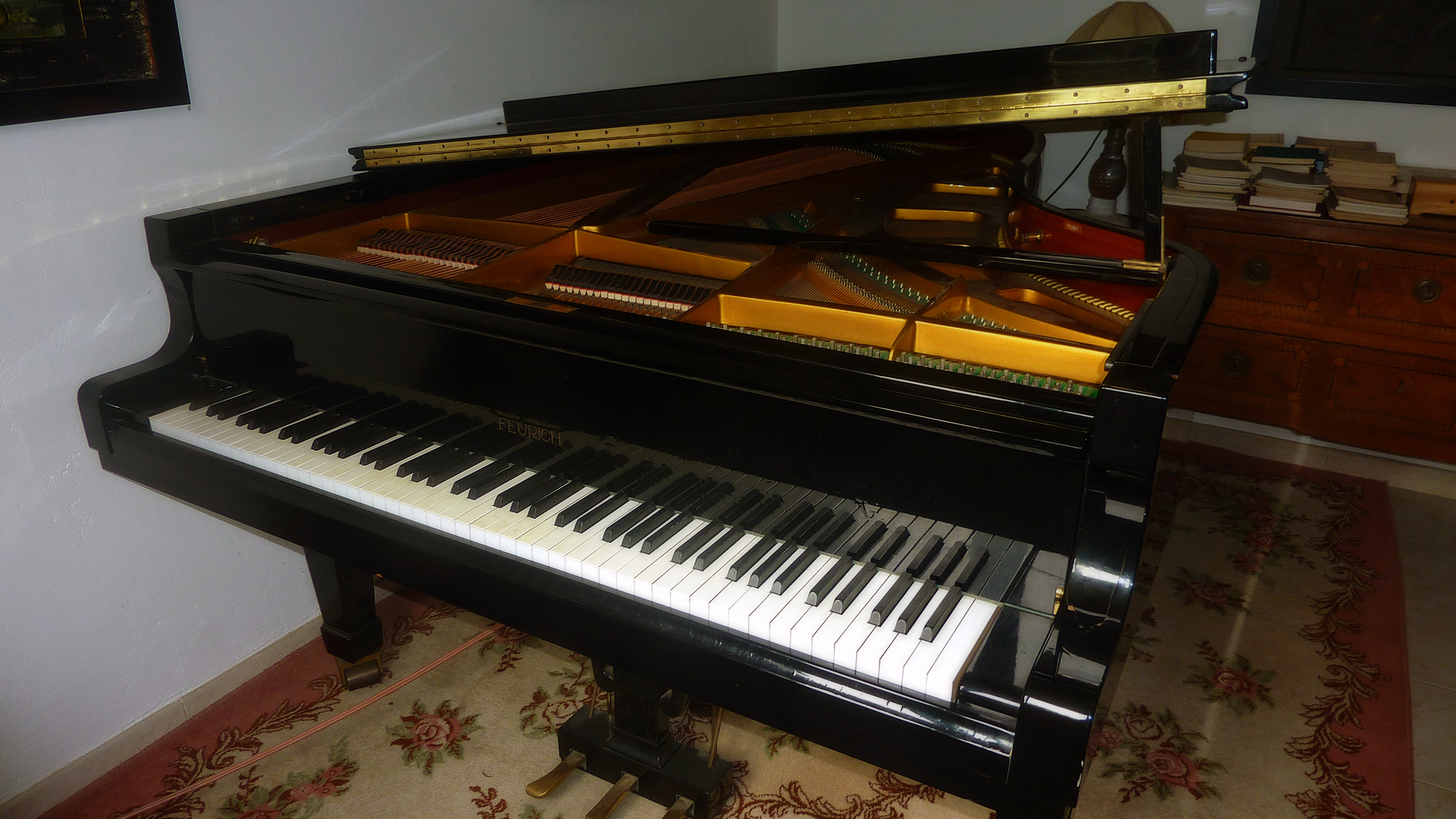 Feurich demi-ouvert 3