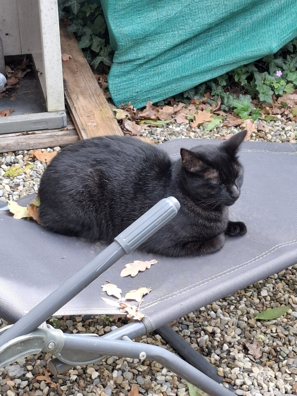 6323520.jpg 6323520.jpg