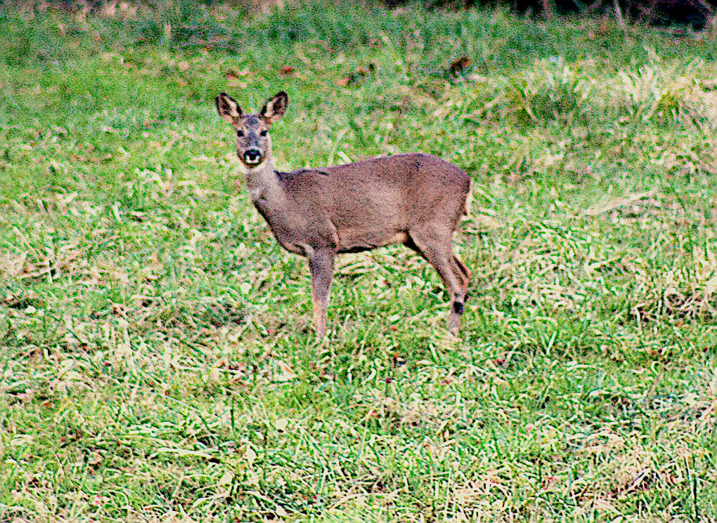 6323682.jpg 6323682.jpg