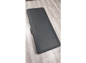 Case