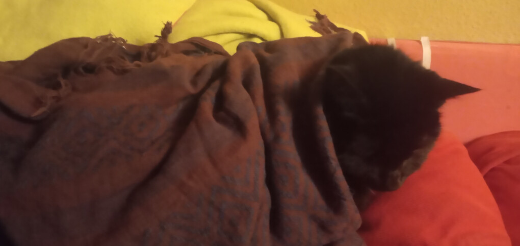 6325478.jpg 6325478.jpg