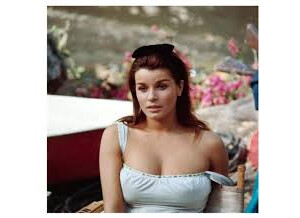 image 2024-12-23 134514361