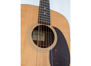 Eastman E1D (62493)