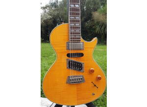 Epiphone Nighthawk Standard 3 (25716)