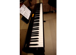 Casio CDP-S360 (88380)