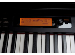 Casio CDP-S360 (45978)