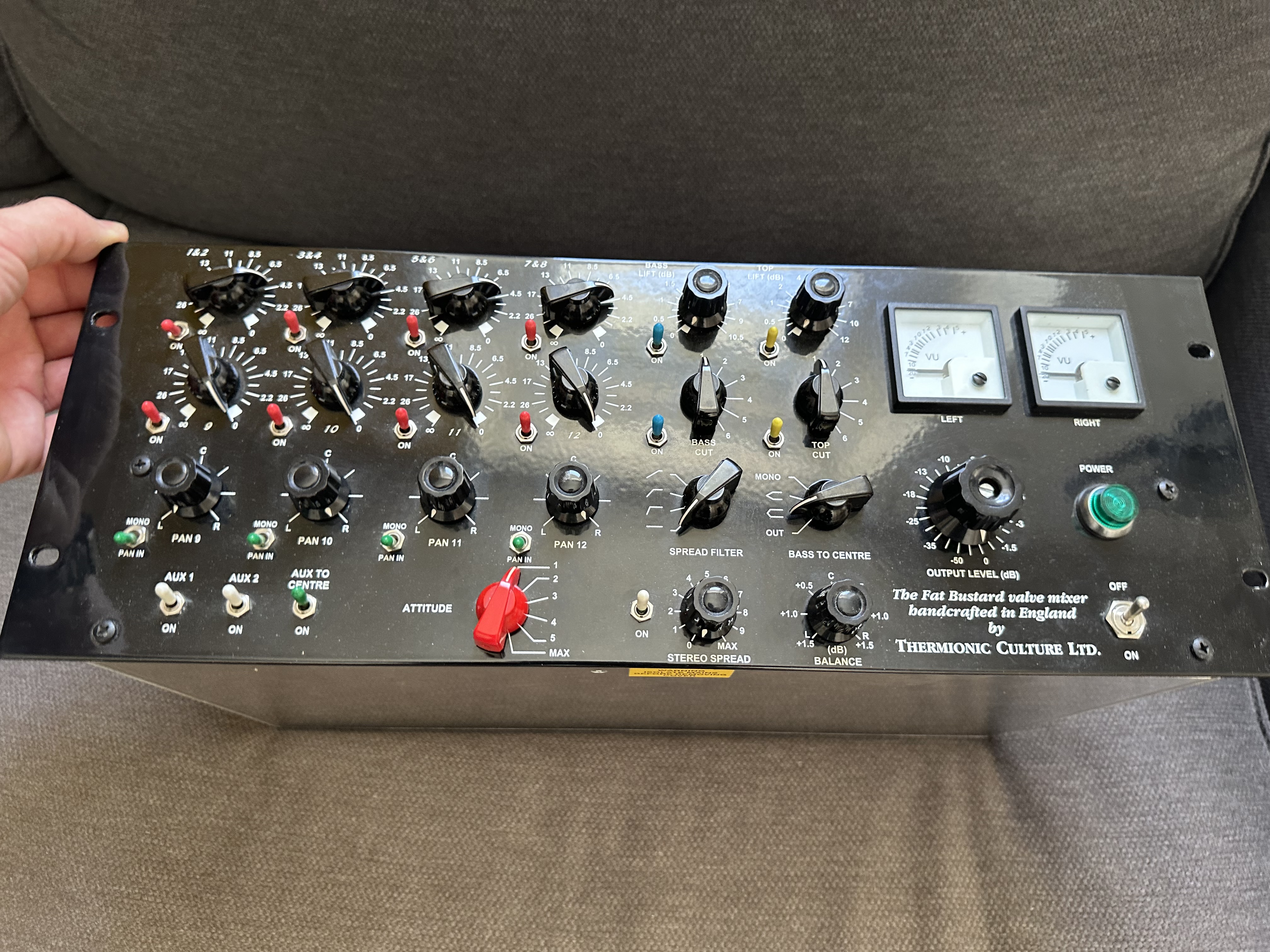 Vends thermionic culture fat bustard