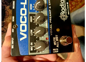 Radial Engineering Voco-Loco (89890)