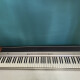 SP-300 SP-300
