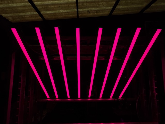 Showtec LED OCTO STRIP (96018)