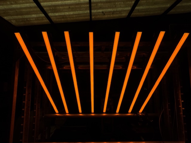 SET SHOWTEC LED OCTO STRIP 