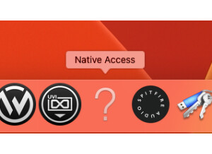 Native Instruments Native Access (44349)
