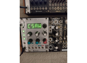 Make Noise Richter WoggleBug (84909)