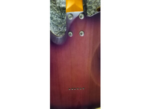 Schecter PT Special (18402)
