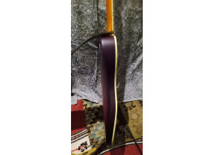 Schecter PT Special (9249)