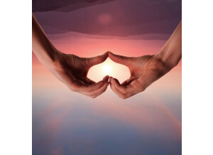 mains-forme-coeur-coucher-soleil 23-2150169237