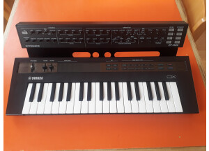 Dtronics DT-RDX-V2 (65037)